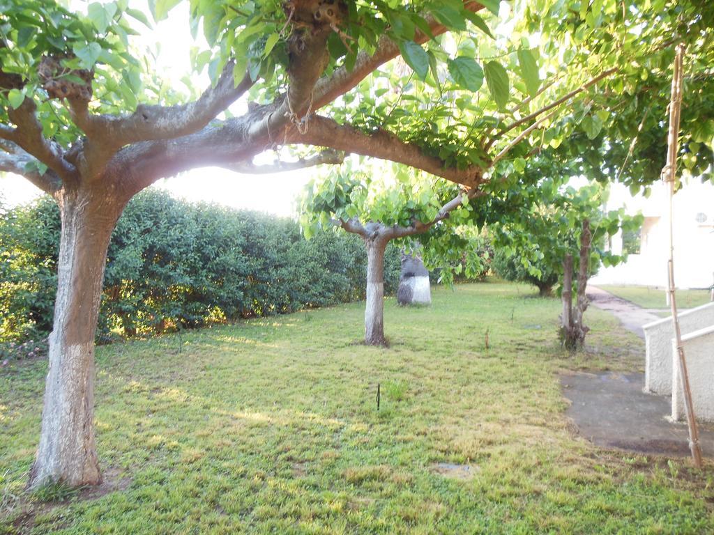Apartamento Helonata